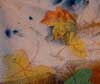 Falling in Colors by Syliva Weir